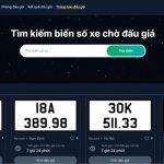 Tham gia đấu giá là phương pháp sở hữu biển số xe ô tô đẹp khá hiệu quả