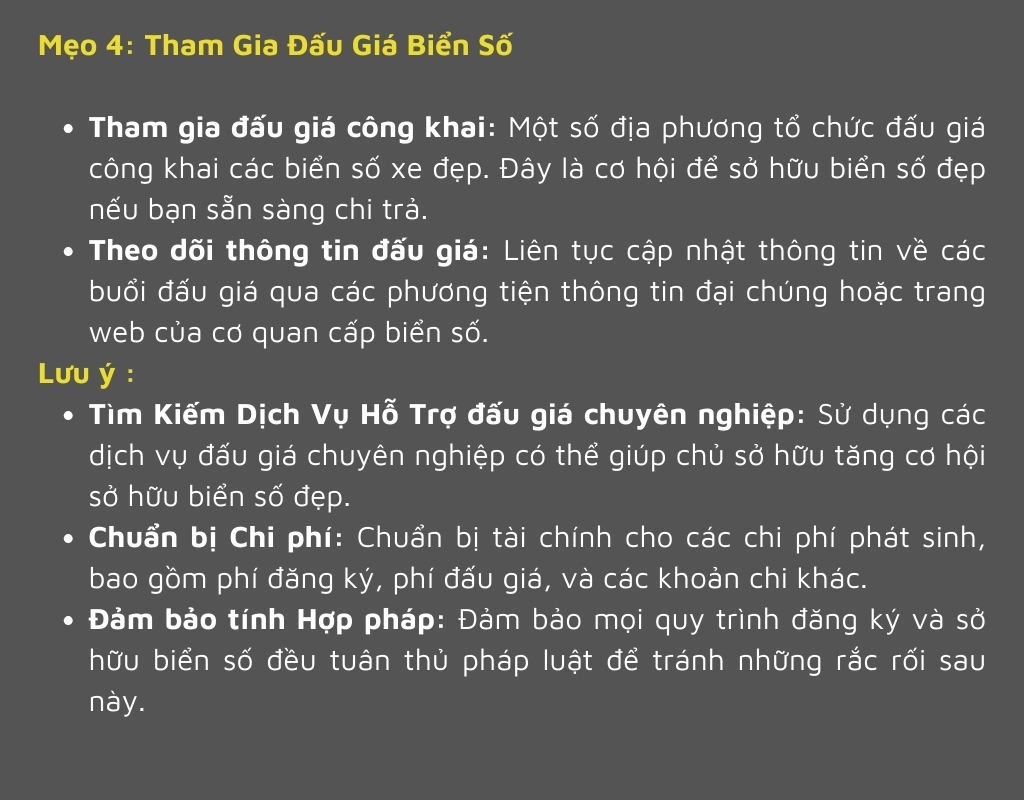 Tham gia đấu giá biển số để chọn được biển hợp mệnh, hợp tuổi, tăng tài lộc