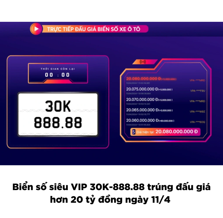 Biển số siêu VIP 30K-888.88 trúng đấu giá hơn 20 tỷ đồng