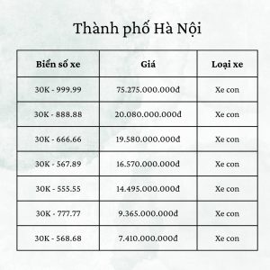  Top biển số xe được đấu giá cao nhất tại Hà Nội