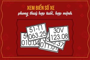 Biển số ô tô hợp mệnh Kim